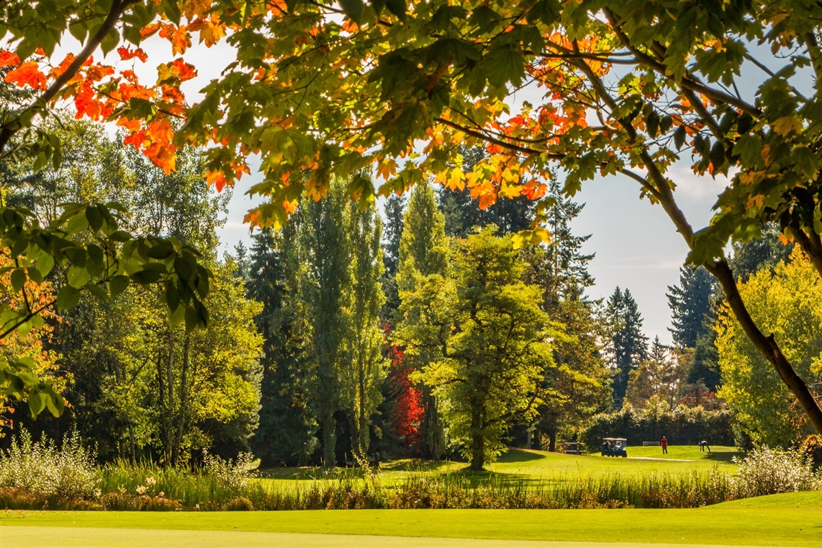 Lynnwood Golf Course - City of Lynnwood Tourism WA